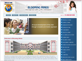 best jquery intigration website designs  india