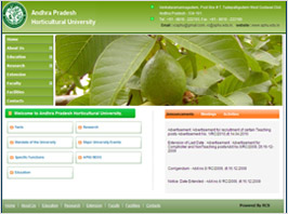 best jquery intigration website designs  india
